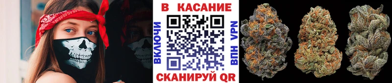 Где купить наркоту Сковородино Cocaine ГАШИШ АМФ ТГК мега ONION Каннабис A PVP