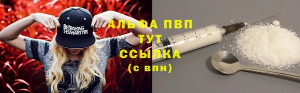 кокс Белокуриха