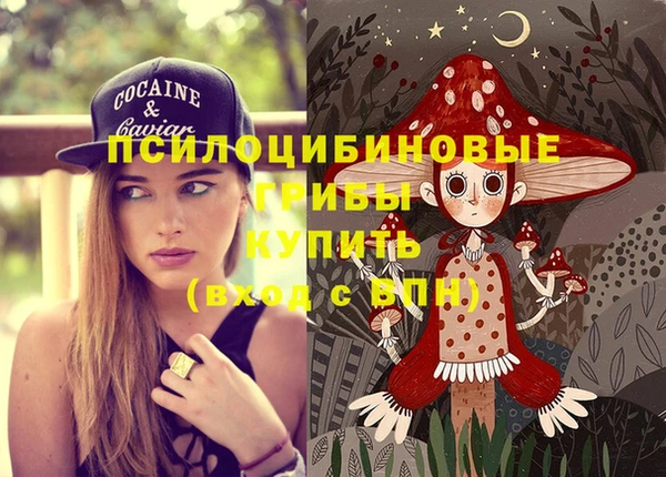 кокс Белокуриха