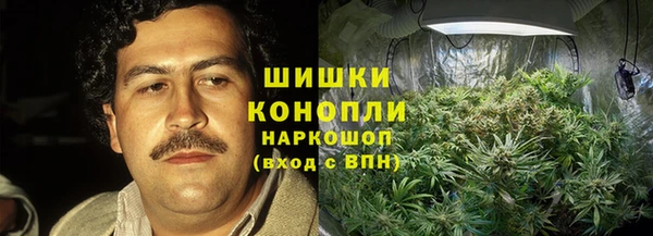 стаф Россошь