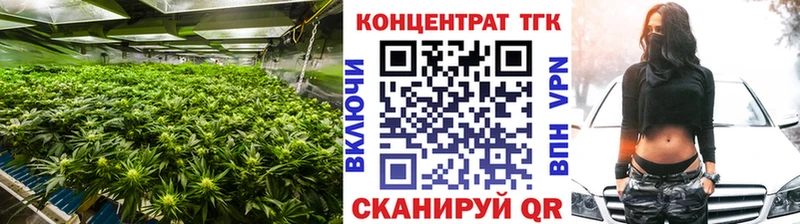 закладка  Сковородино  ТГК вейп с тгк 