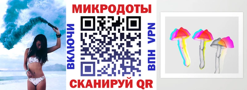 Псилоцибиновые грибы Psilocybine cubensis  Сковородино 